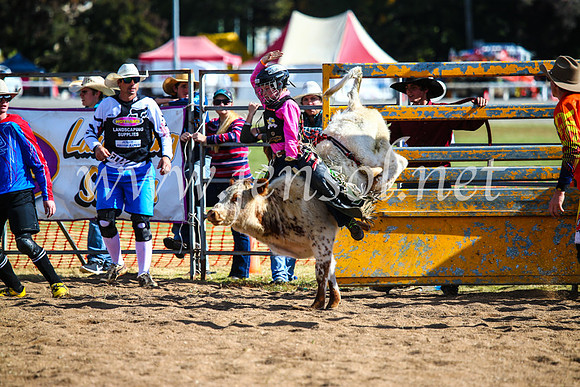BathurstShow2017Sun_4097