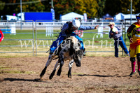 BathurstShow2017Sun_4085
