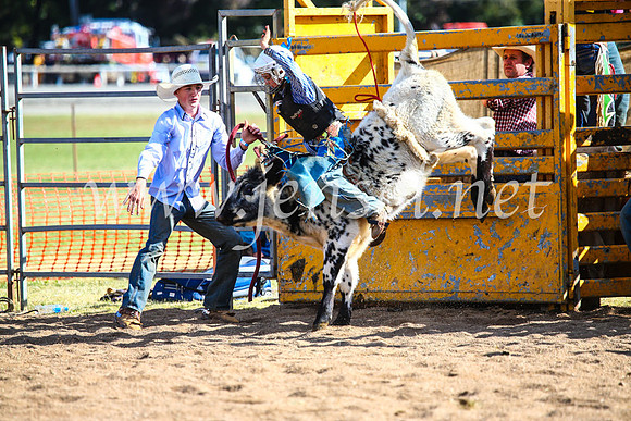 BathurstShow2017Sun_4052