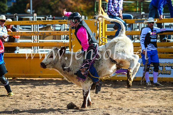 BathurstShow2017Sun_4257