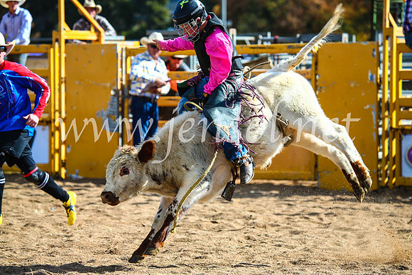 BathurstShow2017Sun_4247