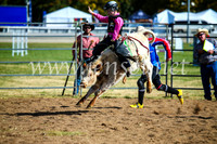 BathurstShow2017Sun_4103