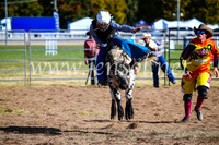 BathurstShow2017Sun_4075