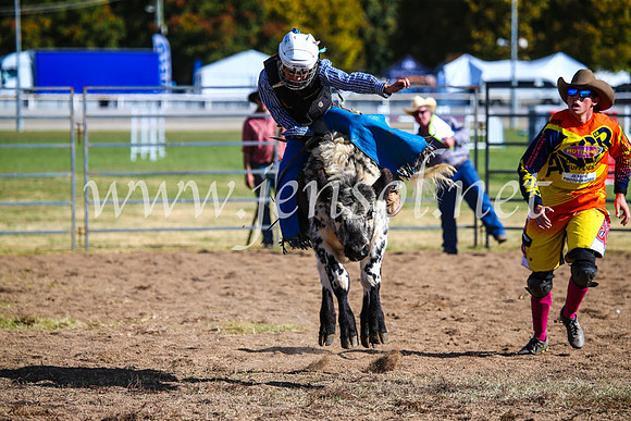 BathurstShow2017Sun_4075