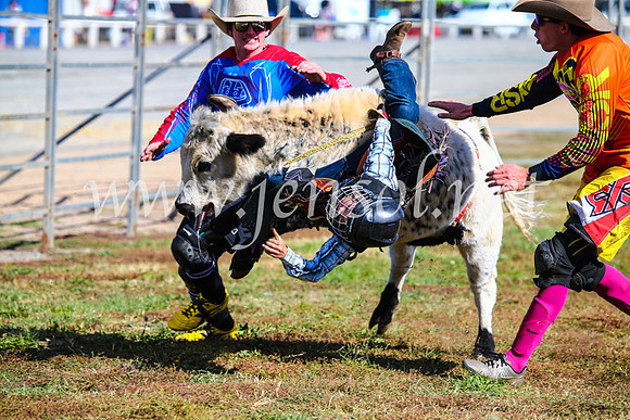 BathurstShow2017Sun_4146