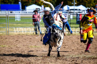 BathurstShow2017Sun_4077