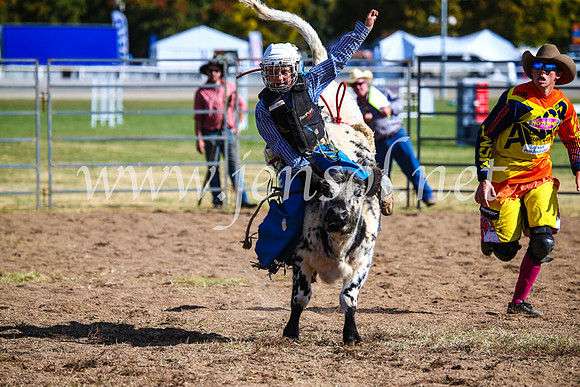 BathurstShow2017Sun_4077