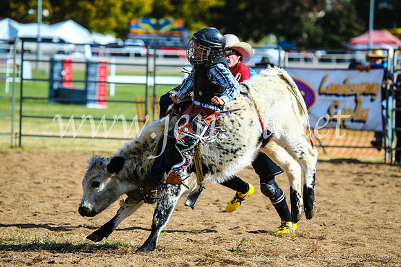 BathurstShow2017Sun_4149