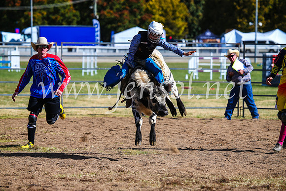 BathurstShow2017Sun_4063