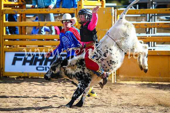 BathurstShow2017Sun_4161