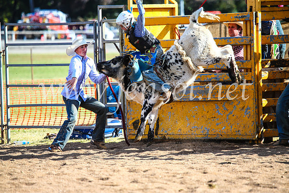 BathurstShow2017Sun_4045