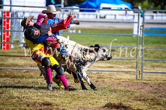 BathurstShow2017Sun_4193