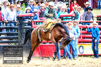 CoomaRodeo2018_3296
