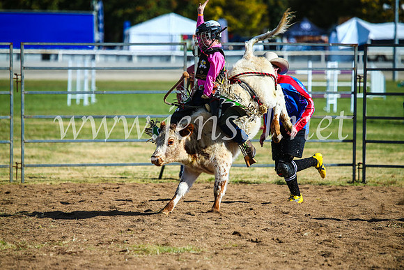 BathurstShow2017Sun_4107