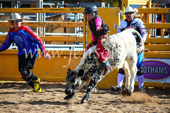 BathurstShow2017Sun_4170