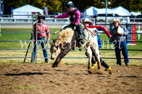 BathurstShow2017Sun_4114