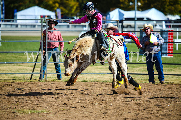 BathurstShow2017Sun_4114