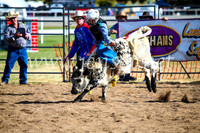 BathurstShow2017Sun_4060