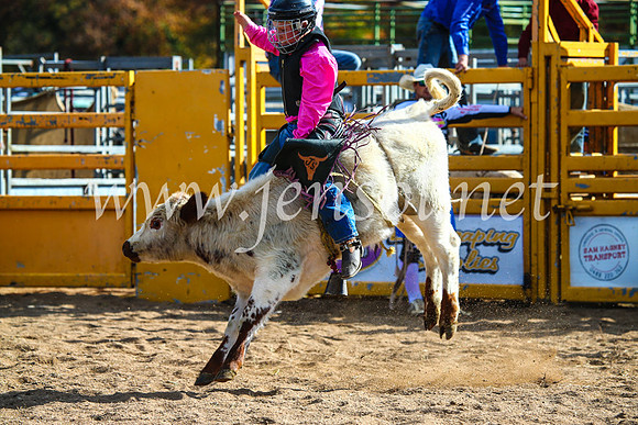 BathurstShow2017Sun_4258