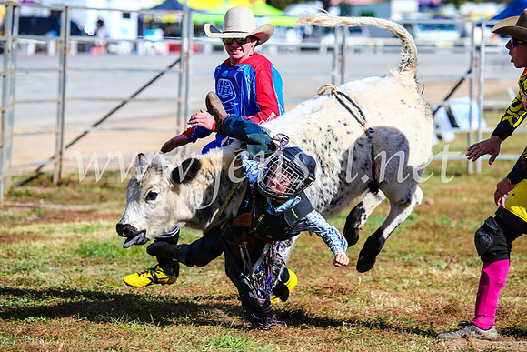 BathurstShow2017Sun_4147
