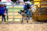 BathurstShow2017Sun_4047