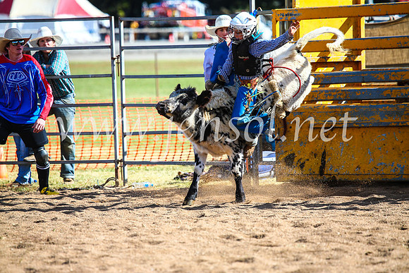 BathurstShow2017Sun_4047