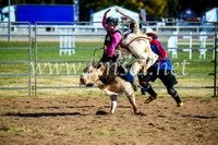 BathurstShow2017Sun_4101