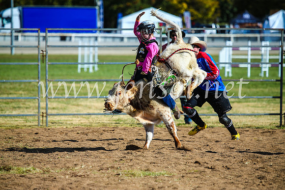 BathurstShow2017Sun_4101