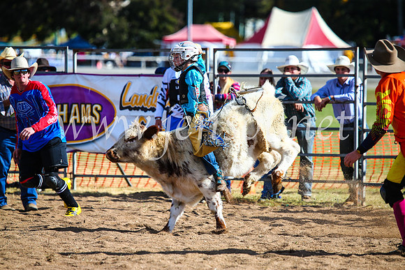 BathurstShow2017Sun_4202