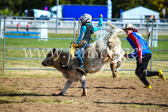 BathurstShow2017Sun_4221