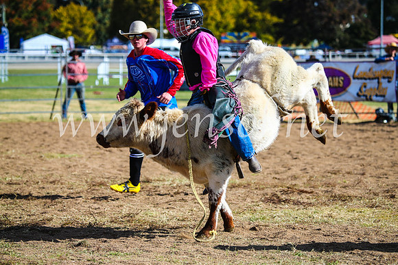 BathurstShow2017Sun_4263