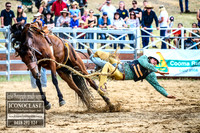 CoomaRodeo2018_3303