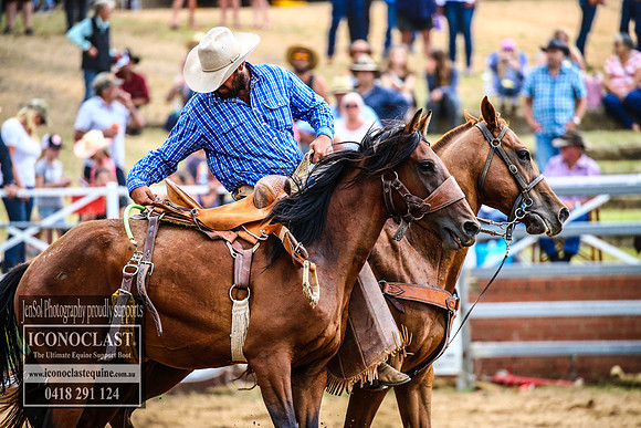 CoomaRodeo2018_3320