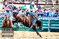 CoomaRodeo2018_3184
