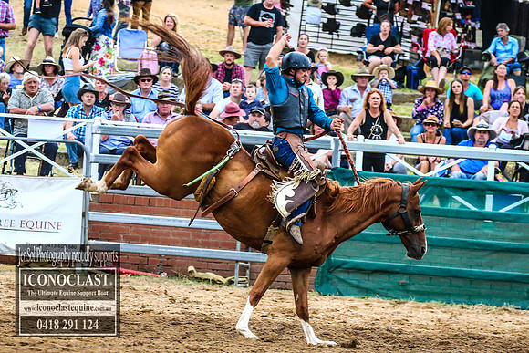 CoomaRodeo2018_4643