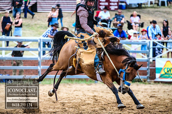 CoomaRodeo2018_4636