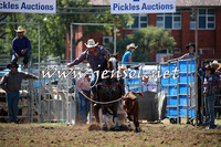 QueanbeyanRodeo2016_4627
