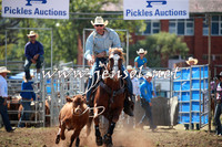 QueanbeyanRodeo2016_4609