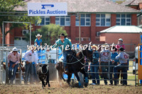 QueanbeyanRodeo2016_4595