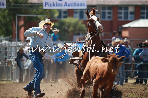 QueanbeyanRodeo2016_4615