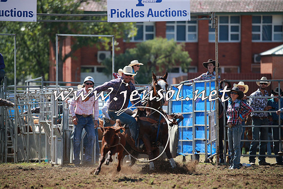 QueanbeyanRodeo2016_4625