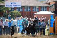 QueanbeyanRodeo2016_4608