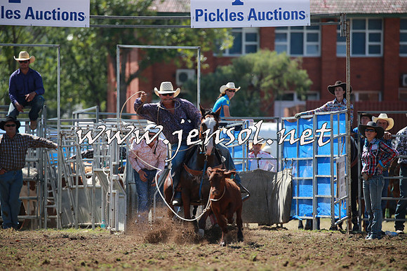 QueanbeyanRodeo2016_4629
