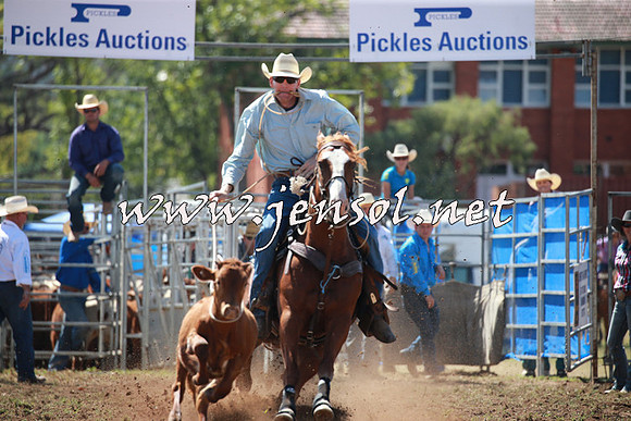 QueanbeyanRodeo2016_4616