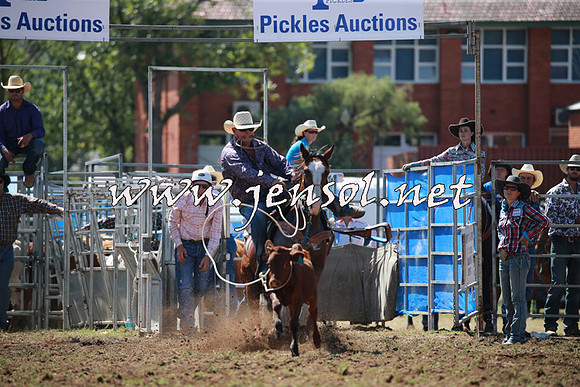 QueanbeyanRodeo2016_4630