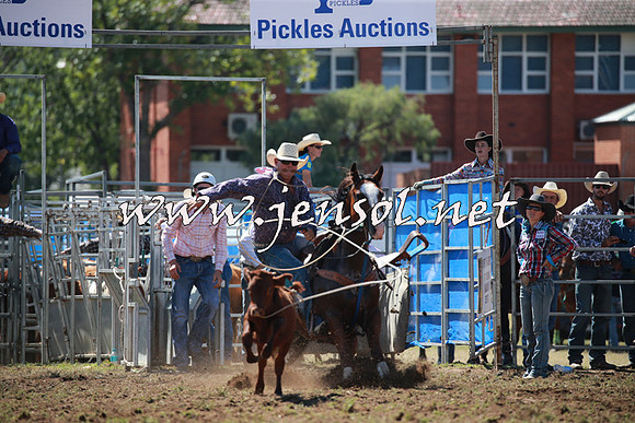 QueanbeyanRodeo2016_4622