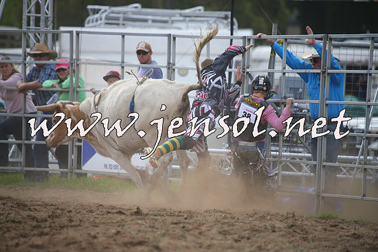 QueanbeyanRodeo2014_0551