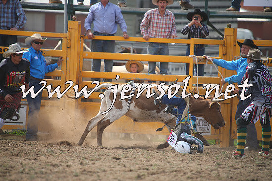 QueanbeyanRodeo2014_0852