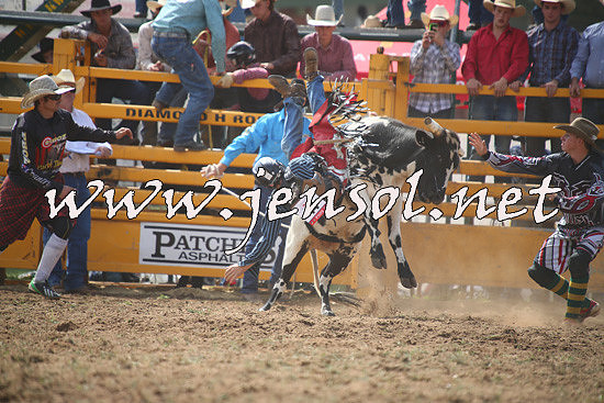 QueanbeyanRodeo2014_0753