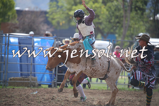QueanbeyanRodeo2014_0836